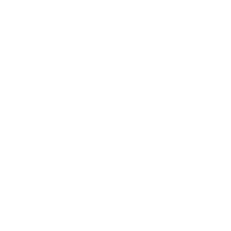 FlexXray X-Ray Food Inspection