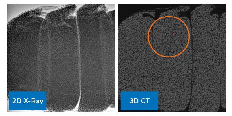 Side-by-side comparison of X-ray and CT inspection images of pet food kibble, with CT highlighting a small contaminant fragment within the dense kibble matrix.